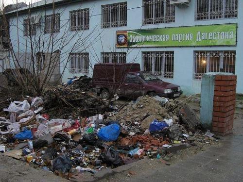 Прикольные картинки (55 фото)