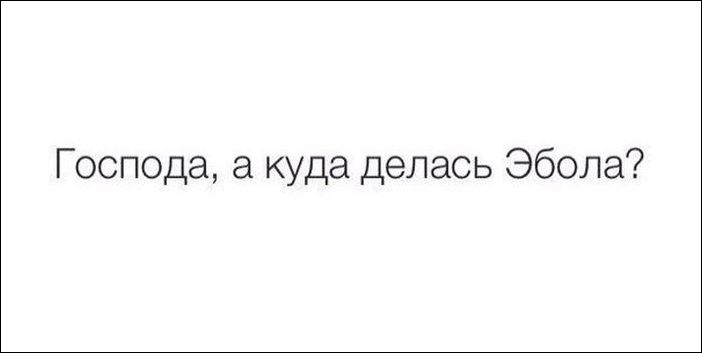 Кучка картинок