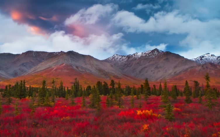 17 фотографий, доказывающих, что осень – самое красивое время года