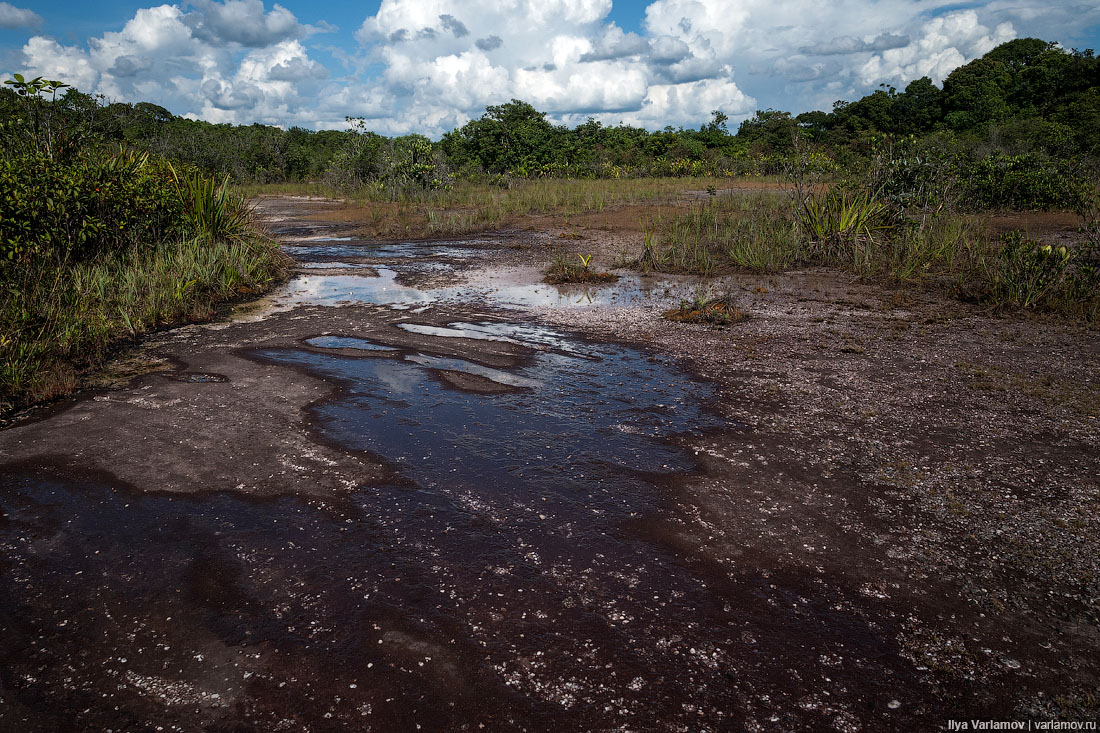 Кайетур: самый высокий водопад в мире (почти) Кайетур: самый высокий водопад в мире (почти)