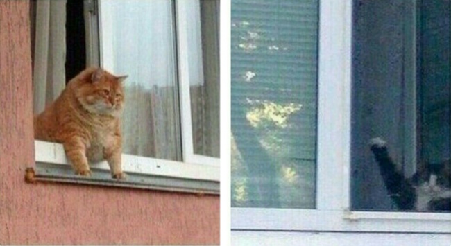 22 фотографии, в которых вы точно узнаете себя