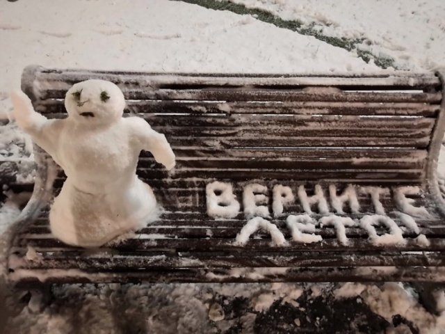 Прикольные картинки