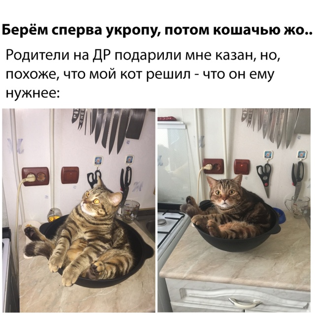 Прикольные картинки