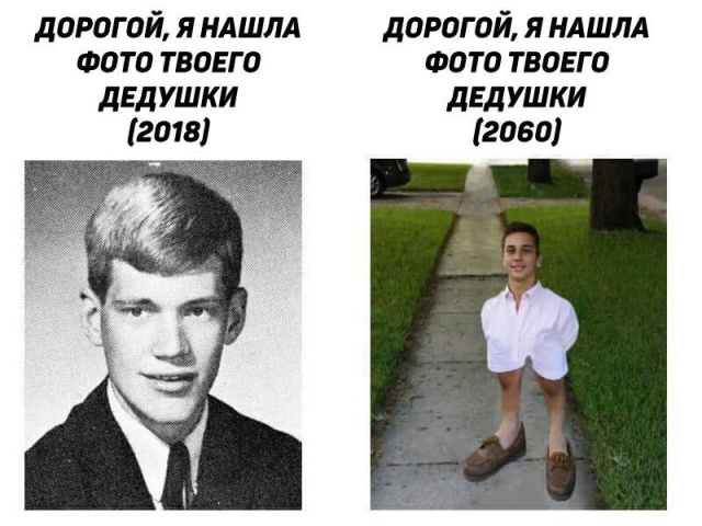 Прикольные картинки