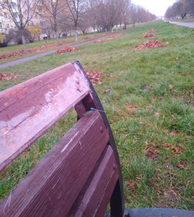 В Солигорске неизвестные вставили иглы в спинки лавочек