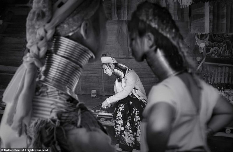 Претенденты на победу в фотоконкурсе Smithsonian Photo Contest 2018