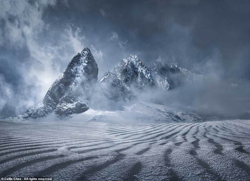 Претенденты на победу в фотоконкурсе Smithsonian Photo Contest 2018