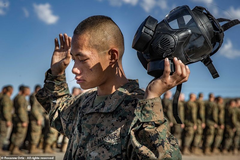 Претенденты на победу в фотоконкурсе Smithsonian Photo Contest 2018