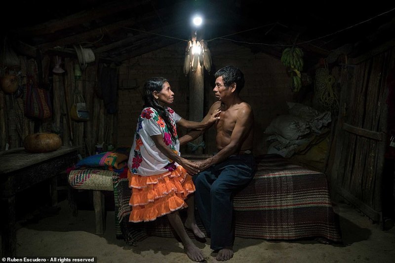 Претенденты на победу в фотоконкурсе Smithsonian Photo Contest 2018