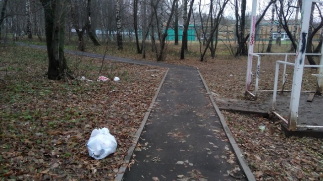Доставка мусора на дом