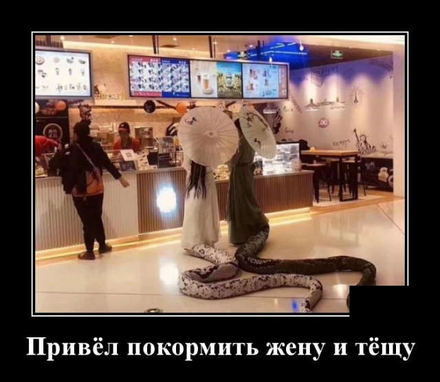 Демотиваторы