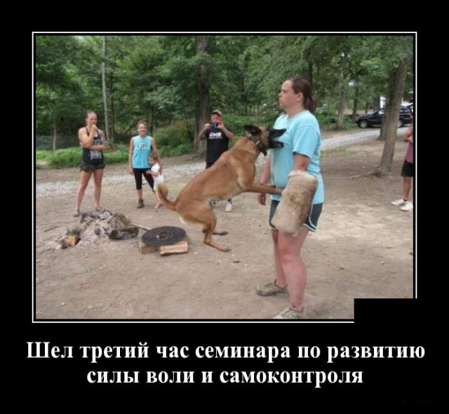 Демотиваторы