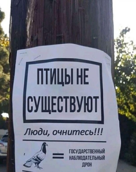 Нестандартный юмор с просторов сети
