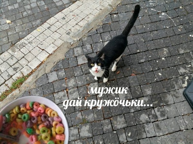 Нестандартный юмор с просторов сети