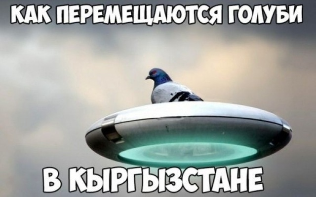 Нестандартный юмор с просторов сети