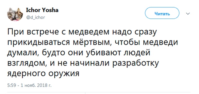 Шутки и высказывания из социальных сетей