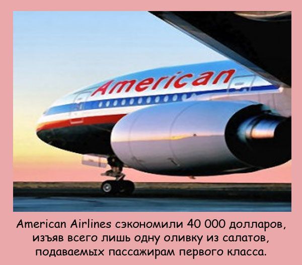 Интересные факты
