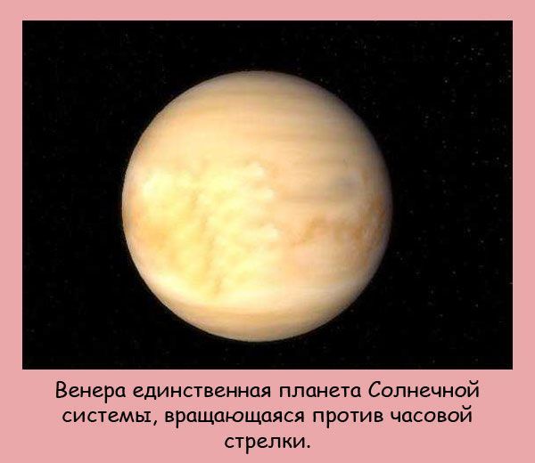 Интересные факты