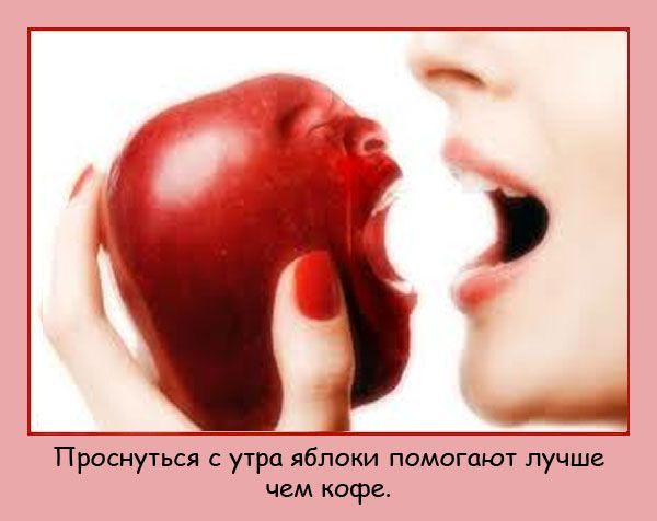 Интересные факты