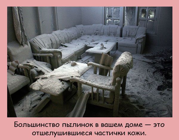 Интересные факты
