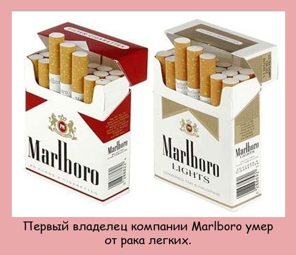 Интересные факты
