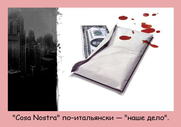 Интересные факты