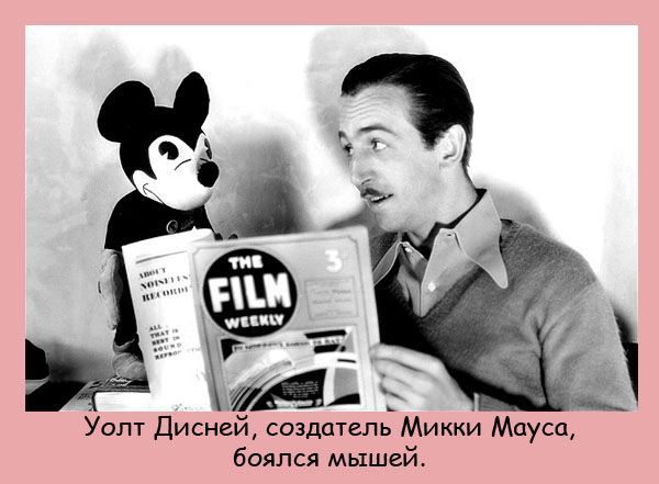 Интересные факты