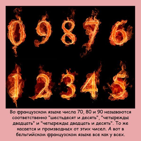 Интересные факты
