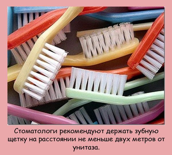 Интересные факты