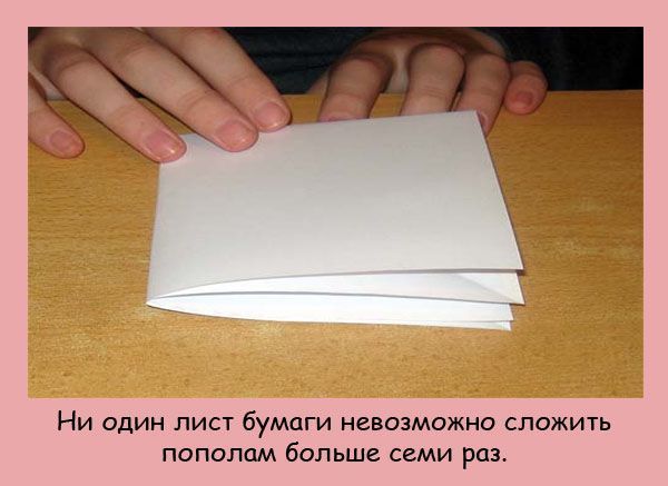 Интересные факты