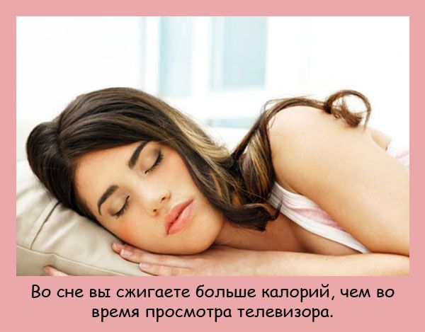 Интересные факты