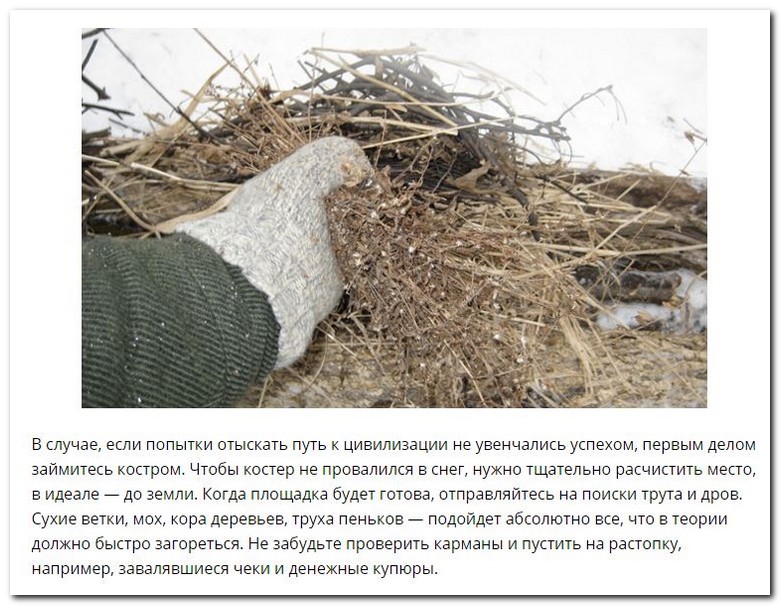 Советы по выживанию в зимнем лесу