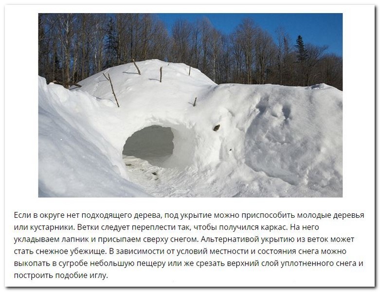 Советы по выживанию в зимнем лесу