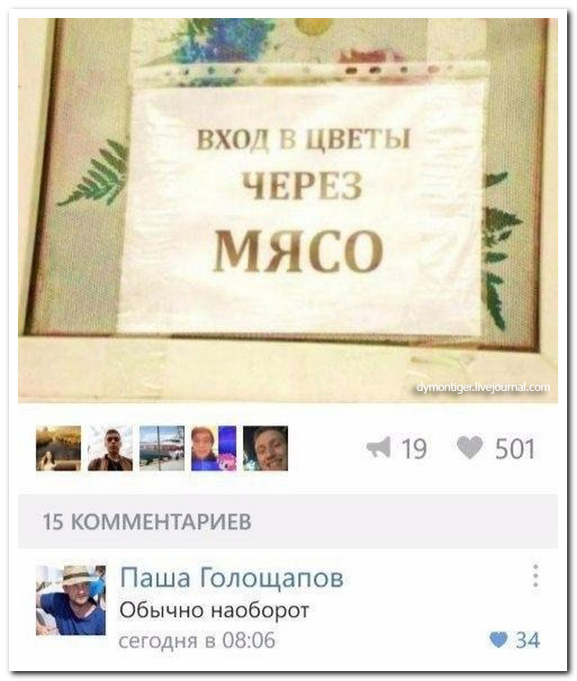 Смешные комментарии из социальных сетей