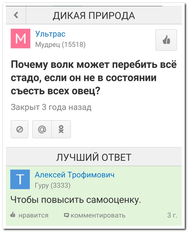 Смешные комментарии из социальных сетей