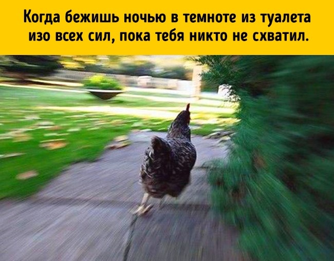 17 вещей, которые делает каждый, но не признается в этом