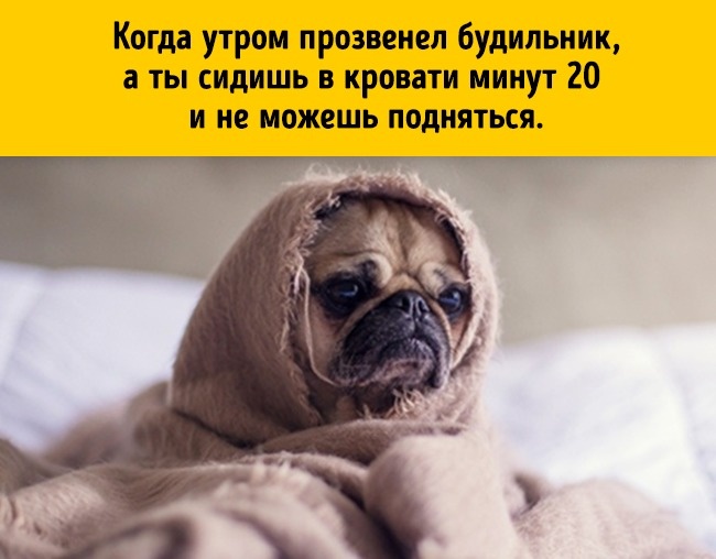 17 вещей, которые делает каждый, но не признается в этом