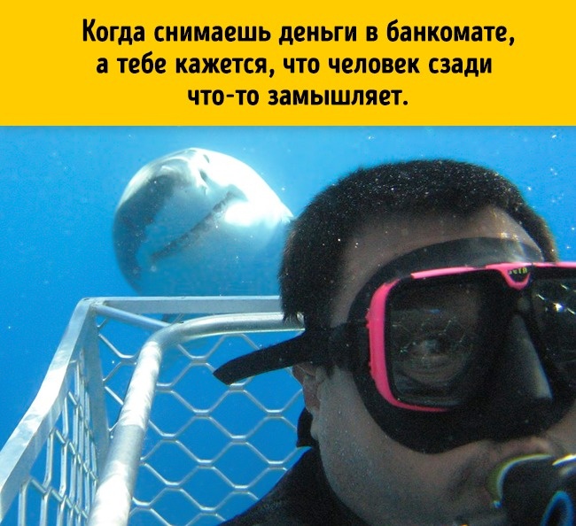 17 вещей, которые делает каждый, но не признается в этом