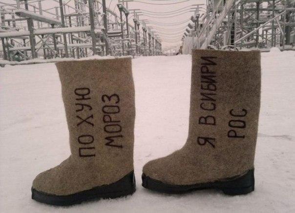 Вестник социальных сетей