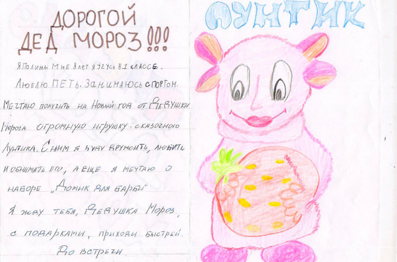 На деревню Дедушке Морозу