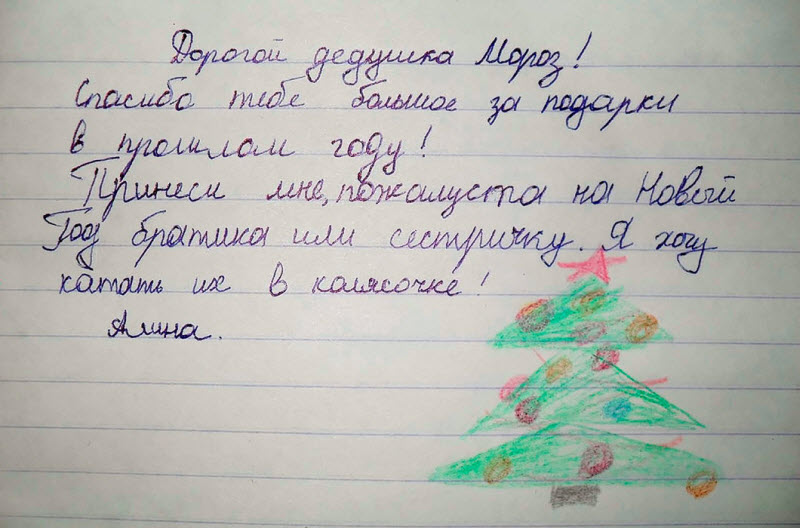 На деревню Дедушке Морозу