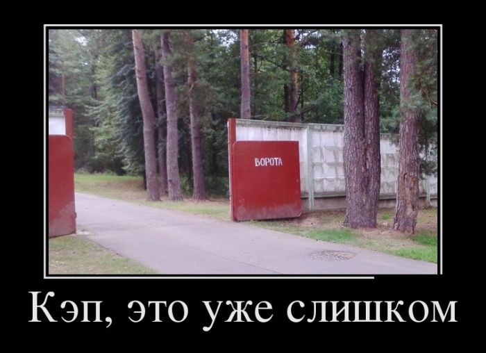 Демотиваторы