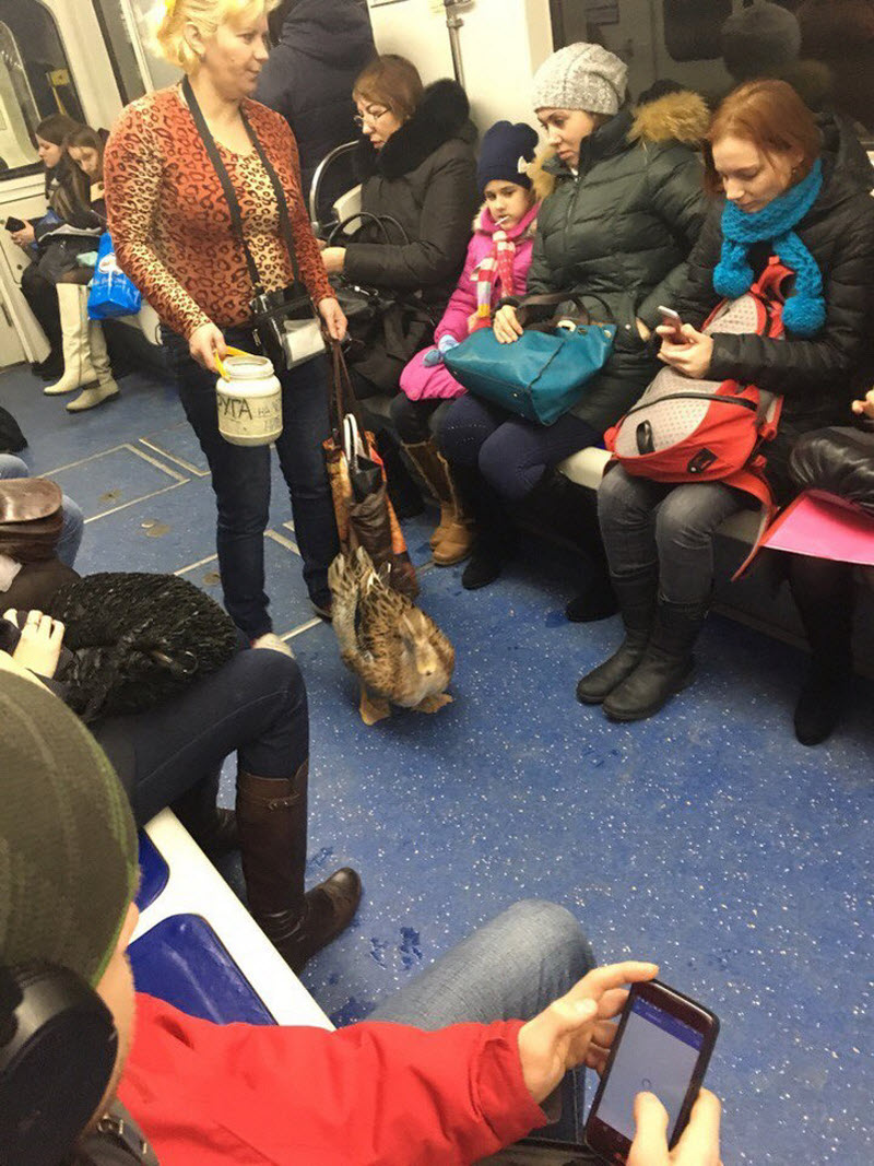 Модники из российского метрополитена