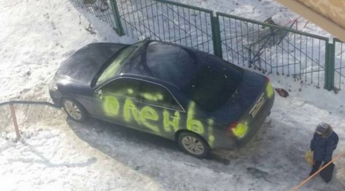 Прикольные картинки