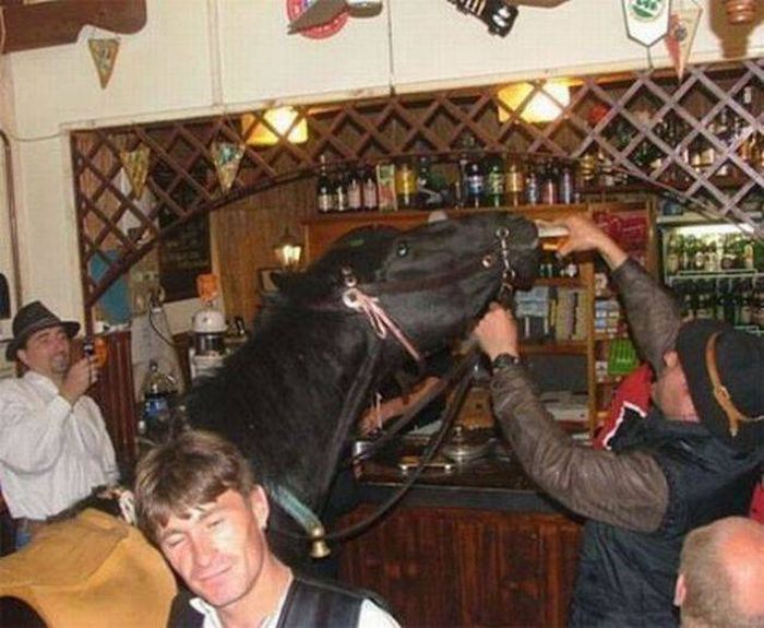 Прикольные картинки