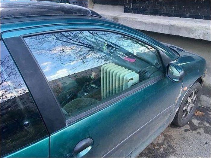 Прикольные картинки