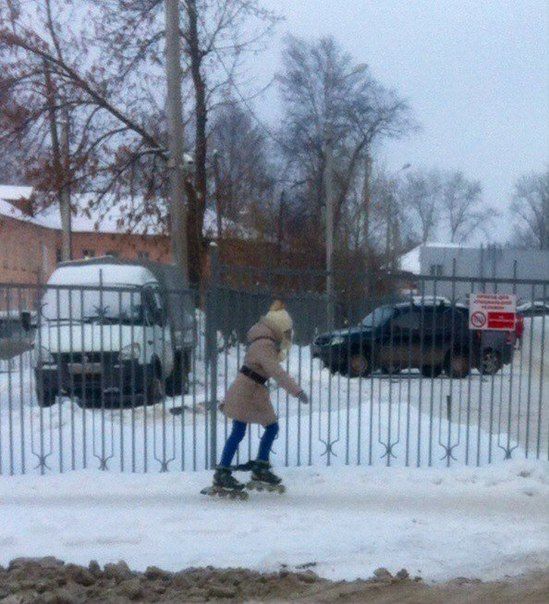 Прикольные картинки