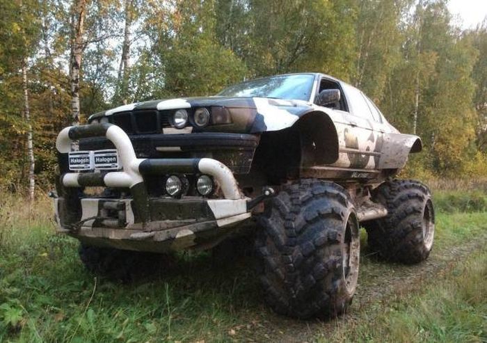 Прикольные картинки