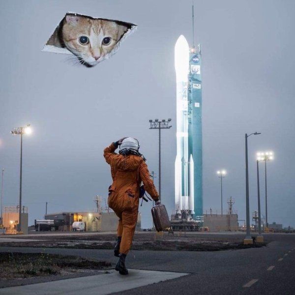 Прикольные картинки