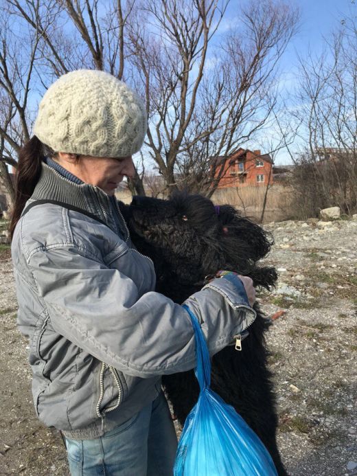 В Новороссийске пес два месяца ждал хозяйку из больницы
